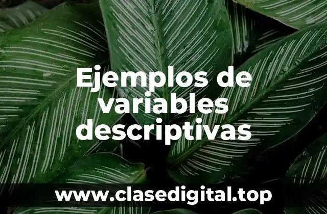 Ejemplos de variables descriptivas