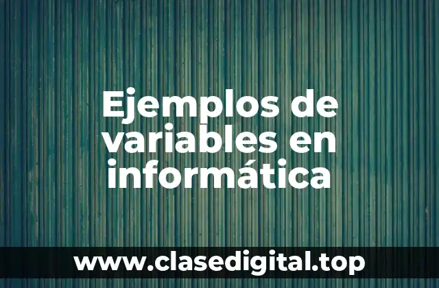 Ejemplos de variables en informática