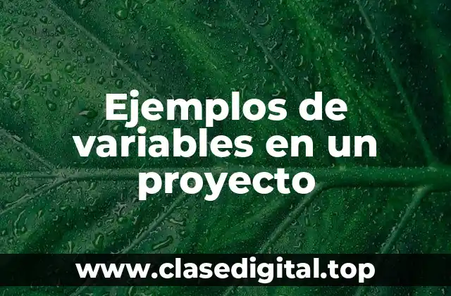 Ejemplos de variables en un proyecto