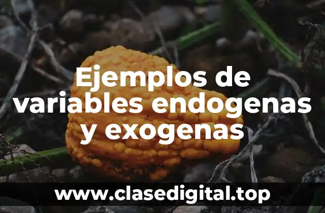 Ejemplos de variables endógenas
