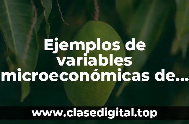 Ejemplos de variables microeconómicas de un proyecto empresarial