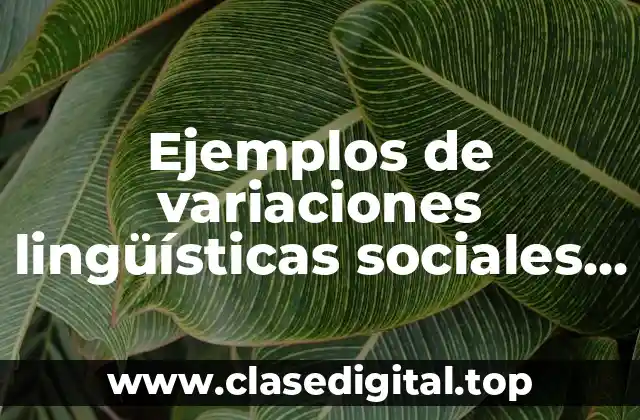 Ejemplos de variaciones lingüísticas sociales y Significado