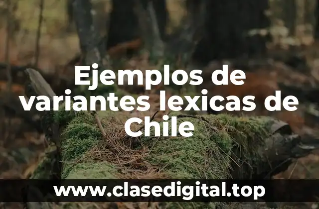 Ejemplos de variantes lexicas de Chile