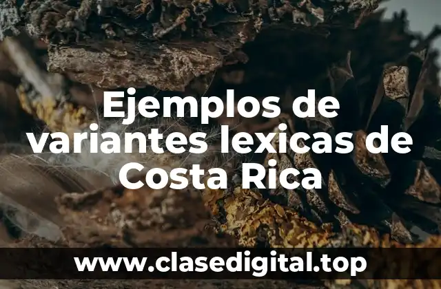Ejemplos de variantes lexicas de Costa Rica