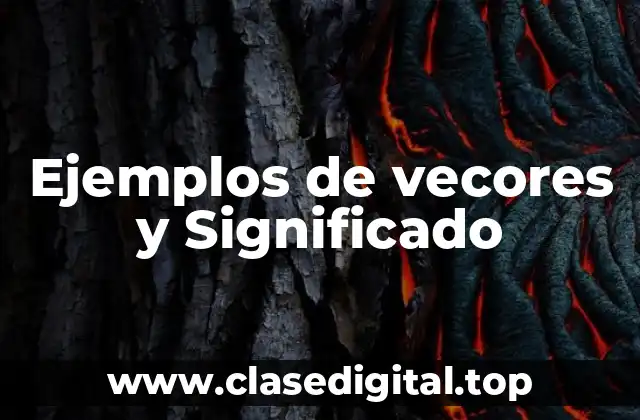 Ejemplos de vecores y Significado