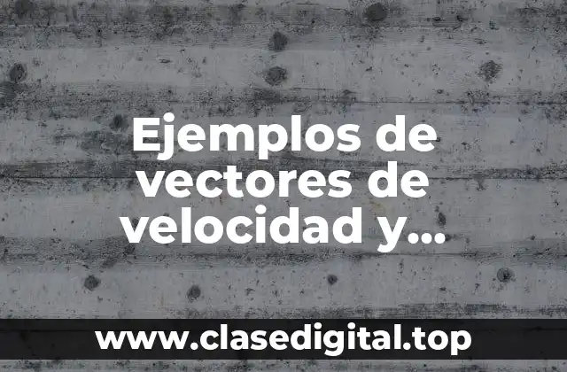 Ejemplos de vectores de velocidad y Significado