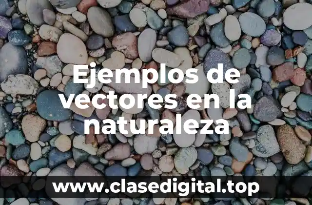 Ejemplos de vectores en la naturaleza