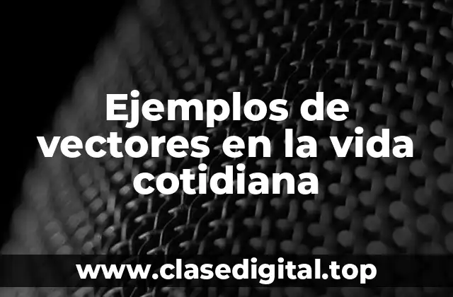 Ejemplos de vectores en la vida cotidiana