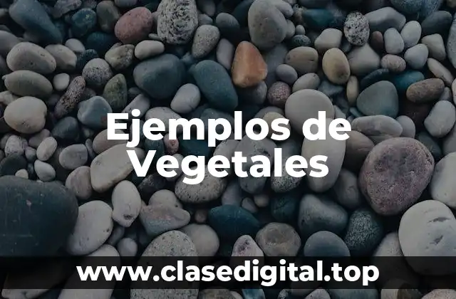 Ejemplos de Vegetales