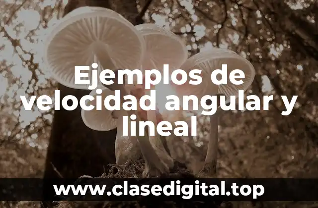 Ejemplos de velocidad angular y lineal