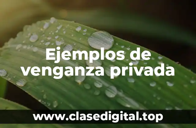 Ejemplos de venganza privada