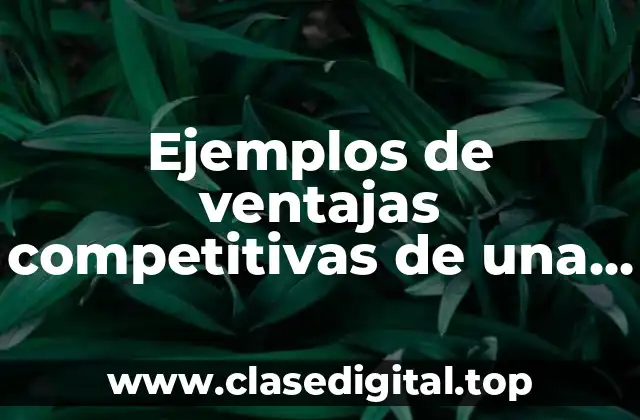 Ejemplos de ventajas competitivas de una empresa de ropa y Significado