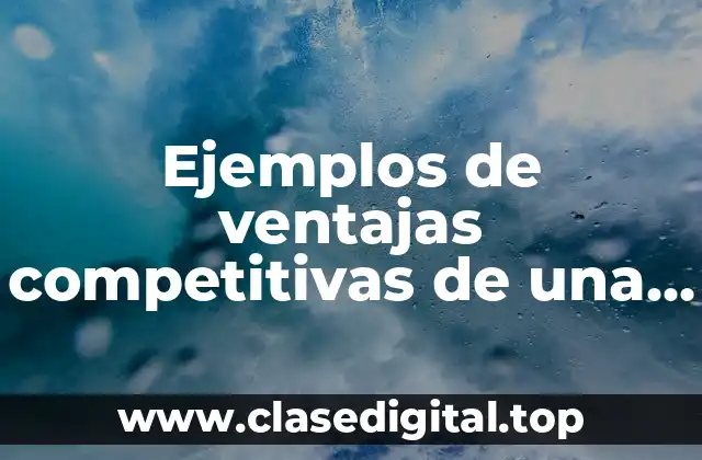Ejemplos de ventajas competitivas de una empresa de servicios y Significado