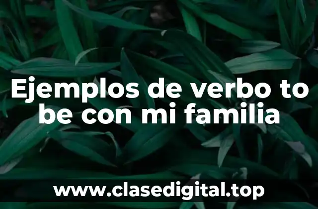 Ejemplos de verbo to be con mi familia