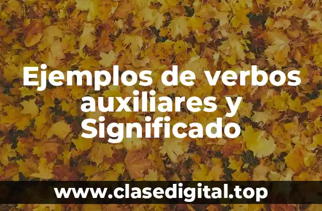 Ejemplos de verbos auxiliares y Significado
