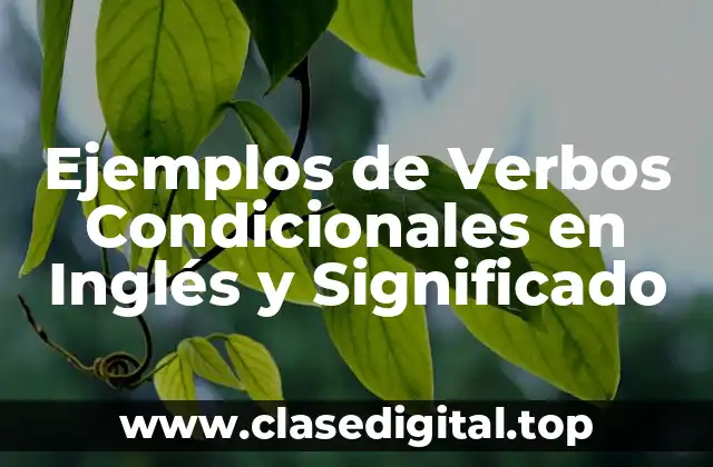 Ejemplos de Verbos Condicionales en Inglés y Significado