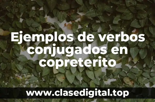 Ejemplos de verbos conjugados en copreterito