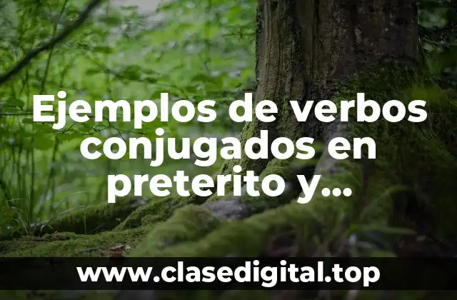 Ejemplos de verbos conjugados en preterito y compreterito