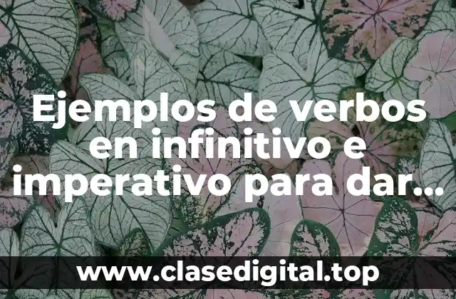 Ejemplos de verbos en infinitivo e imperativo para dar instrucciones