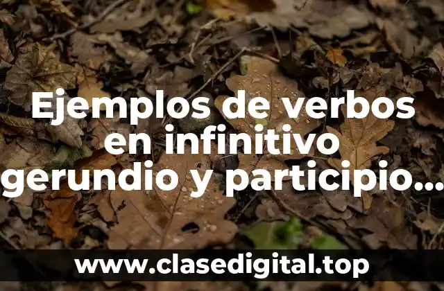 Ejemplos de verbos en infinitivo gerundio y participio en español