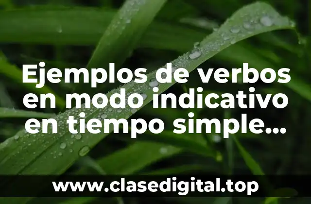 Ejemplos de verbos en modo indicativo en tiempo simple copreterito y Significado