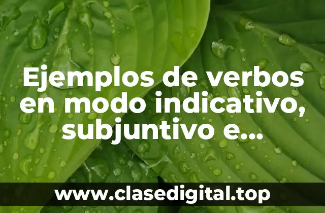 Ejemplos de verbos en modo indicativo, subjuntivo e imperativo