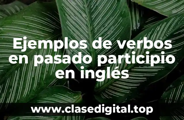 Ejemplos de verbos en pasado participio en inglés