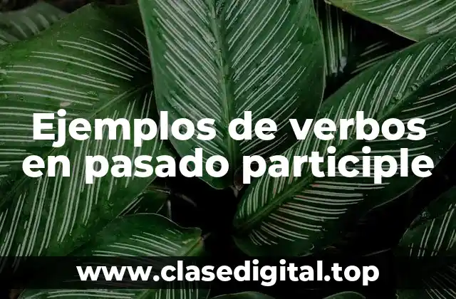 Ejemplos de verbos en pasado participle