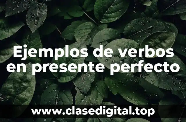 Ejemplos de verbos en presente perfecto