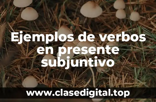 Ejemplos de verbos en presente subjuntivo