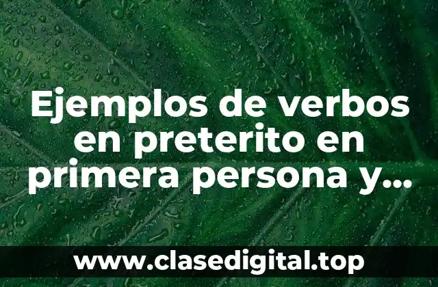 Ejemplos de verbos en preterito en primera persona y Significado