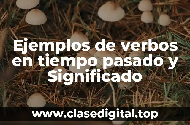 Ejemplos de verbos en tiempo pasado y Significado