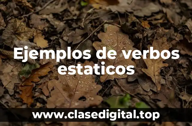 Ejemplos de verbos estaticos