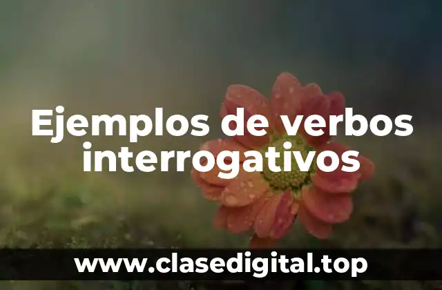 Ejemplos de verbos interrogativos