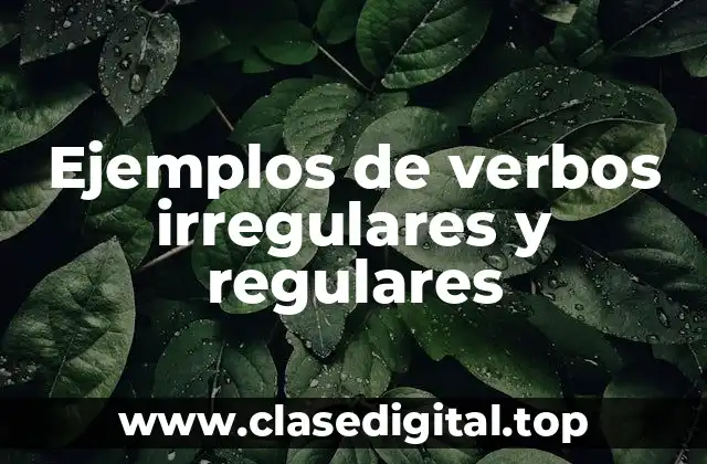 Ejemplos de verbos irregulares y regulares
