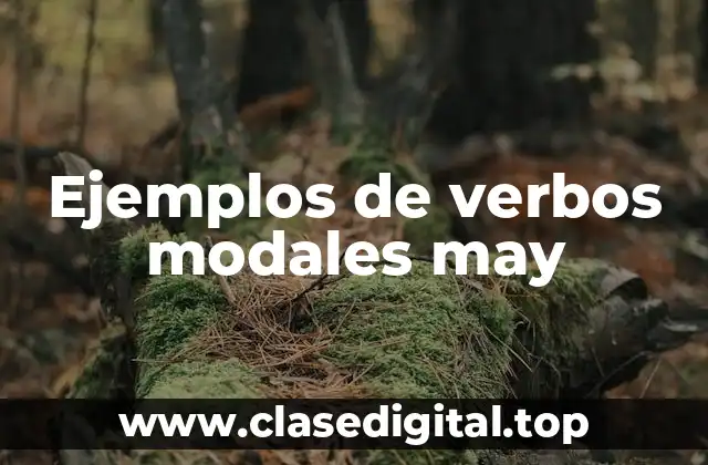 Ejemplos de verbos modales may