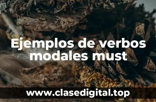 Ejemplos de verbos modales must