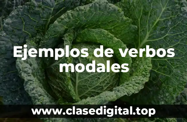 Ejemplos de verbos modales