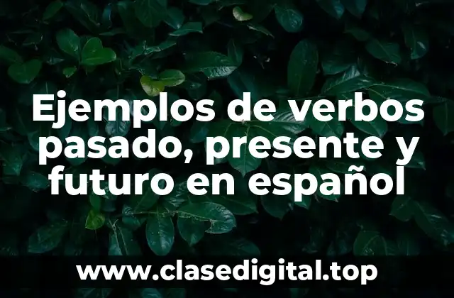 Ejemplos de verbos pasado, presente y futuro en español