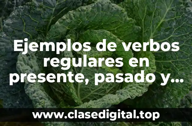 Ejemplos de verbos regulares en presente, pasado y futuro