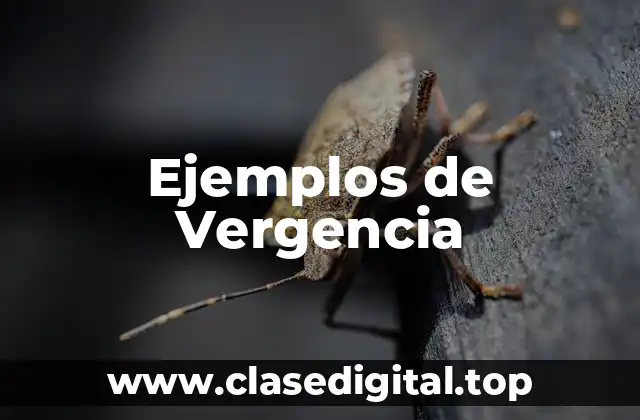 Ejemplos de Vergencia
