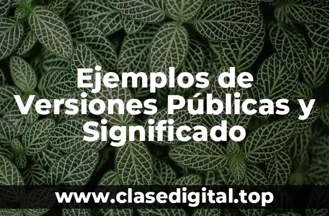 Ejemplos de Versiones Públicas