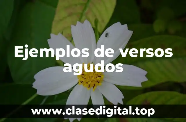 Ejemplos de versos agudos
