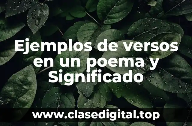 Ejemplos de versos en un poema y Significado