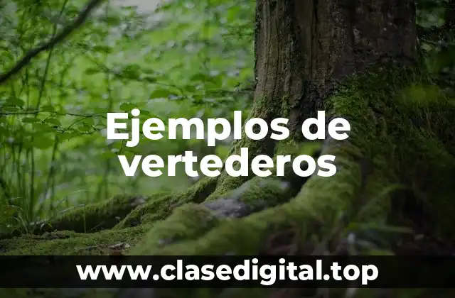 Ejemplos de vertederos