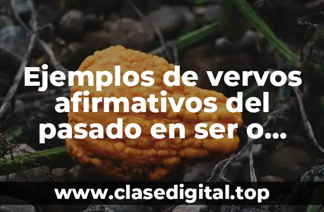 Ejemplos de vervos afirmativos del pasado en ser o estar