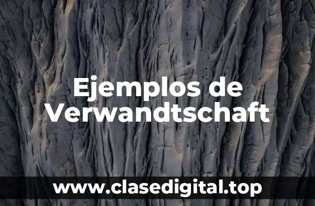 Ejemplos de Verwandtschaft