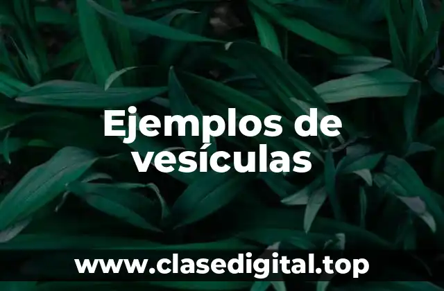 Ejemplos de vesículas