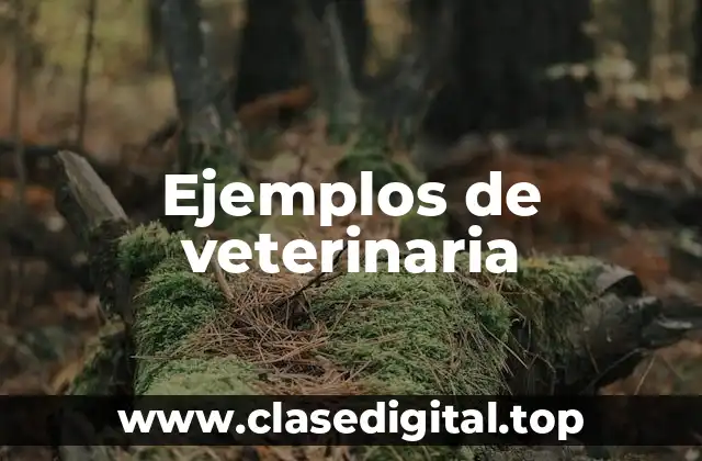 Ejemplos de veterinaria