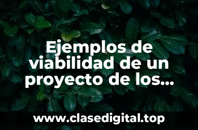 Ejemplos de viabilidad de un proyecto de los valores